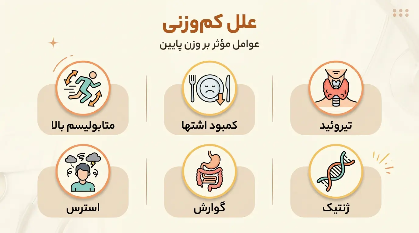 چرا چاق نمیشوم - اینفوگرافیک علل لاغری: متابولیسم بالا، استرس، تیروئید