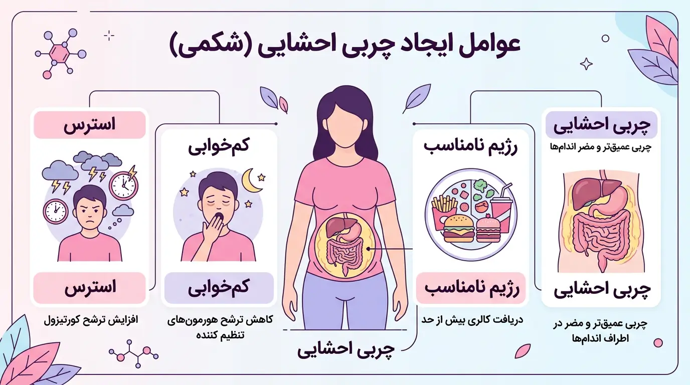 اینفوگرافیک علل اصلی چاقی شکم و پهلو شامل استرس، کمخوابی و رژیم نامناسب