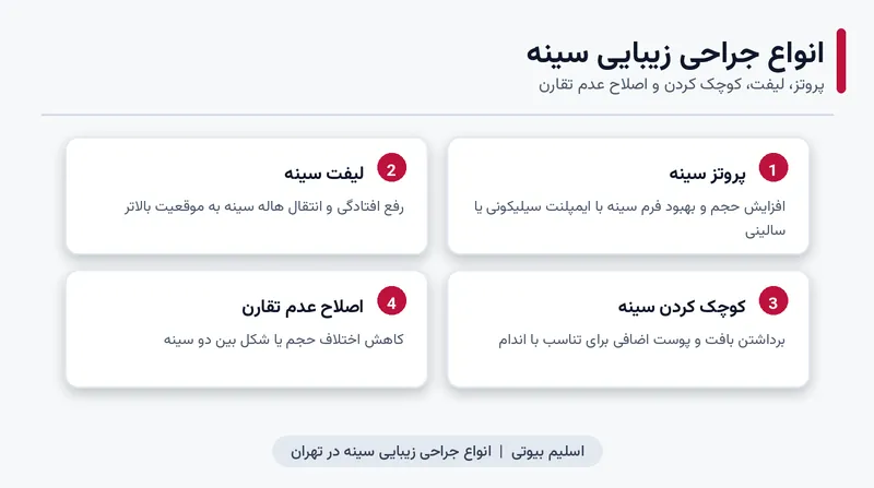 اینفوگرافیک انواع جراحی زیبایی سینه شامل پروتز، لیفت و کوچک کردن سینه در تهران
