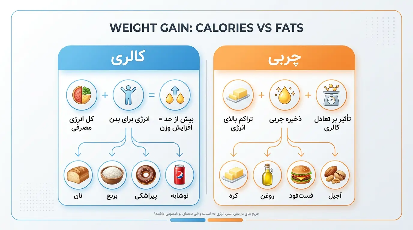 مقایسه نقش کالری و چربی