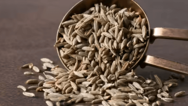 طریقه مصرف زیره برای لاغری