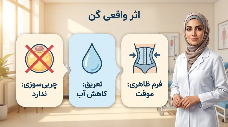 اینفوگرافیک تاثیر گن در لاغری شکم؛ فرم دهی موقت، کاهش آب بدن و نبود چربی سوزی