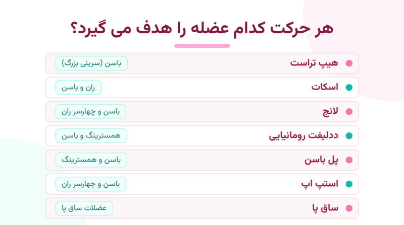 اینفوگرافیک حرکات ورزشی برای افزایش حجم پایین تنه و عضله هدف هر حرکت
