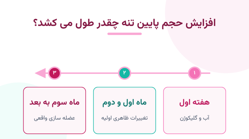 اینفوگرافیک زمان لازم برای افزایش حجم پایین تنه و چاق شدن ران و باسن