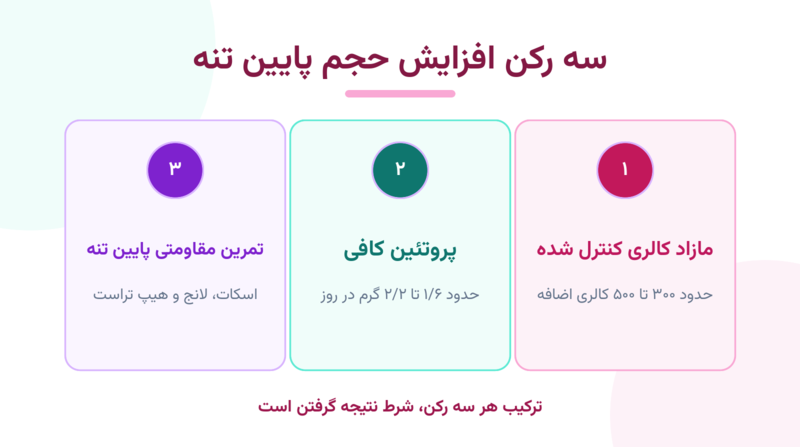 اینفوگرافیک سه رکن افزایش حجم پایین تنه؛ مازاد کالری، پروتئین و تمرین مقاومتی
